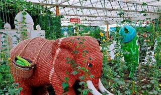 五一去哪旅游最合适带孩子