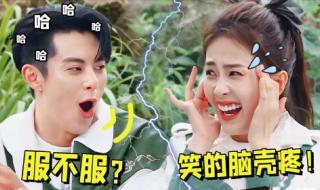 王鹤棣和白鹿新剧《错撩》