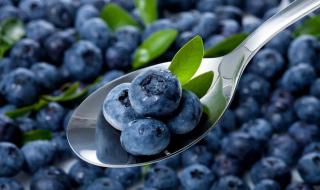 蓝莓一天吃多少为宜 每天吃一盒蓝莓会发生什么
