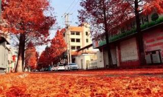 幼儿故事冬天的小路