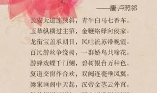 七夕歌曲最火的十首