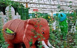 五一带孩子去哪旅游最合适 五一去哪旅游最合适带孩子