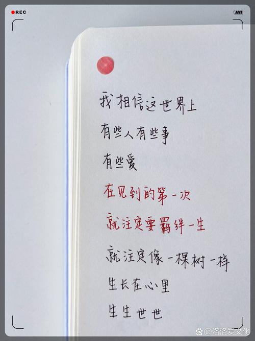 在文字里遇见另一个自己（在文字里遇见另一个自己怎么写）