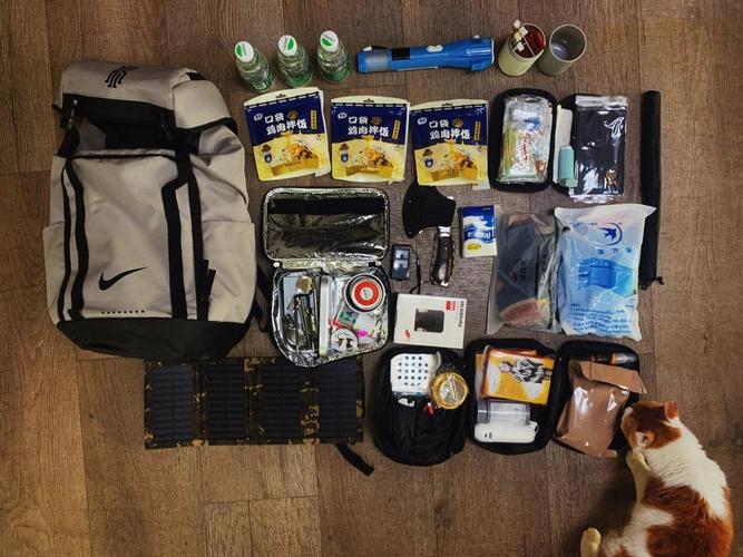 如何制作家庭应急包(家庭应急包放哪里)