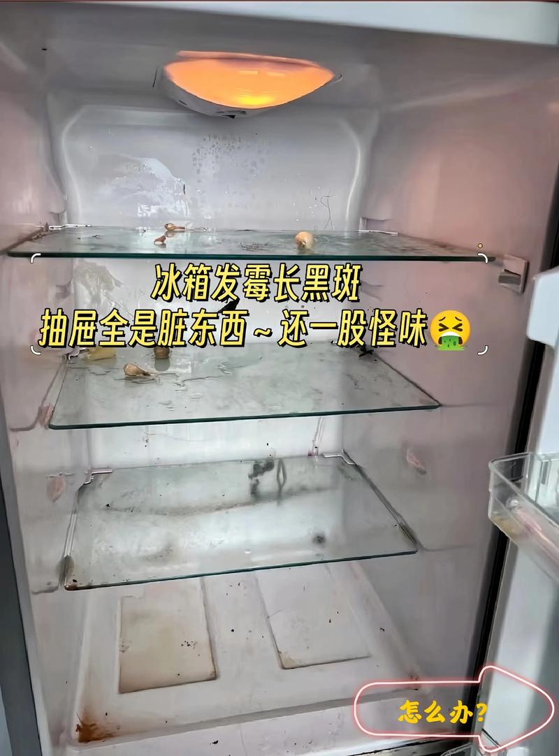 冰箱不是万能保鲜箱（不是买台冰箱就能保鲜）