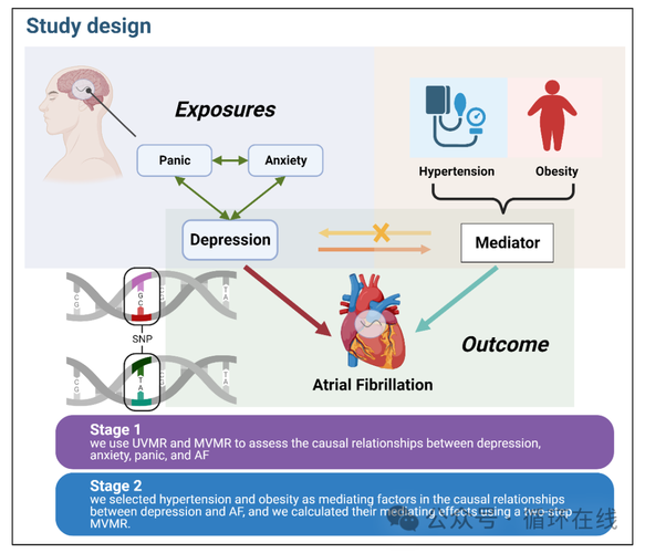 写作的心理学（写作的心理机制）