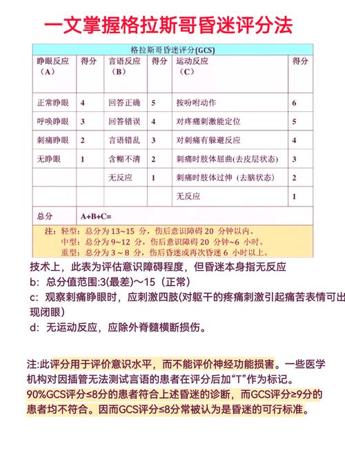 昏迷患者的现场评估与体位管理（昏迷患者的体格检查）