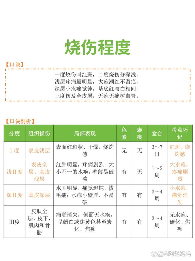 不同种类烧伤的深度识别与对应处理(阐述烧伤深度的分类及特点)