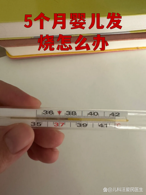 头部撞伤后的居家观察清单与预警信号（头部碰撞后应观察多少时间?）