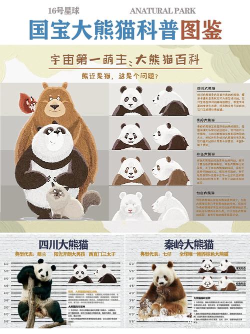 科普知识“熊猫究竟有没有挂”(作弊)辅助透视教程