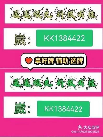 教程分享“雀神辅助器(免费)”详细分享装挂步骤