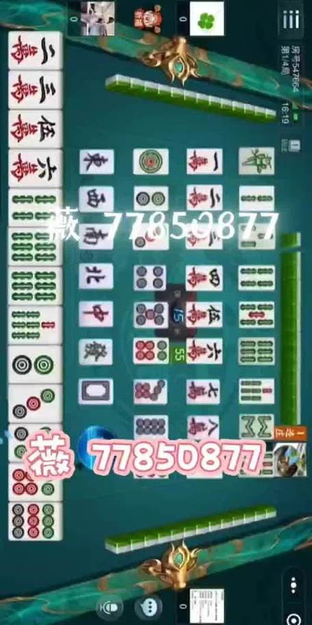 最新总结“微乐宁夏开挂器通用版”(作弊)辅助透视教程