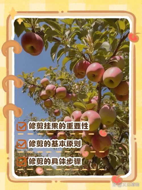 实测分析“达人十三水果然有挂”详细分享装挂步骤