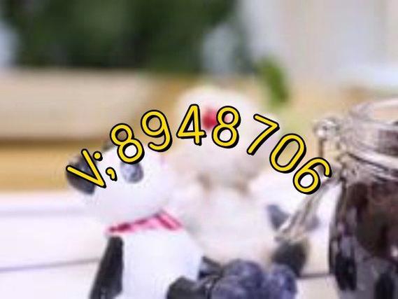 我来教大家“(wepoker)透视作弊挂使用教程”详细透视辅助教学(全新上线)