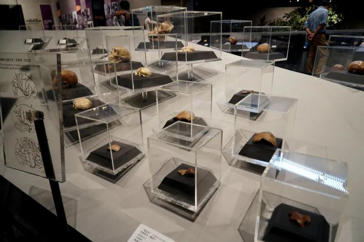 一分钟了解“猿人大厅确实真的有挂”附开挂流程详细