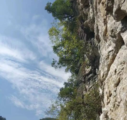 一分钟了解“猿人大厅确实真的有挂”附开挂流程详细