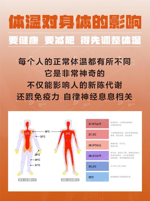 文学的体温(文学体量是什么意思)