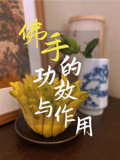 科普知识“佛手在线透视挂辅助”分享用挂教程辅助透视官方版下载