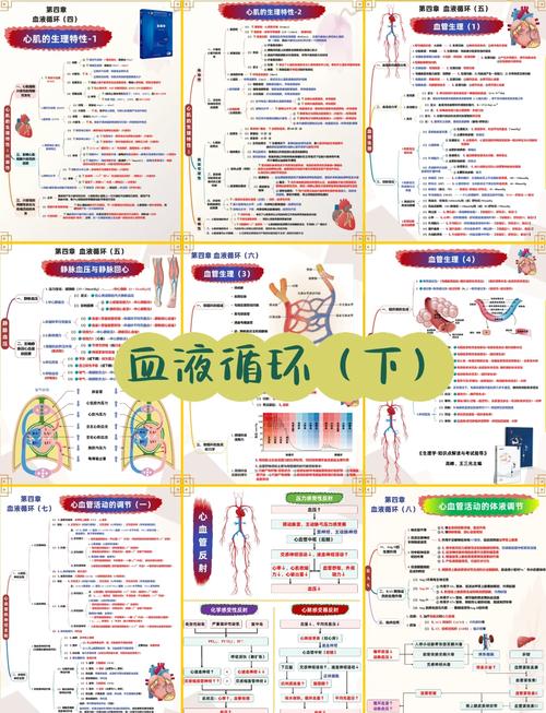 写作的生理学（写生理论）