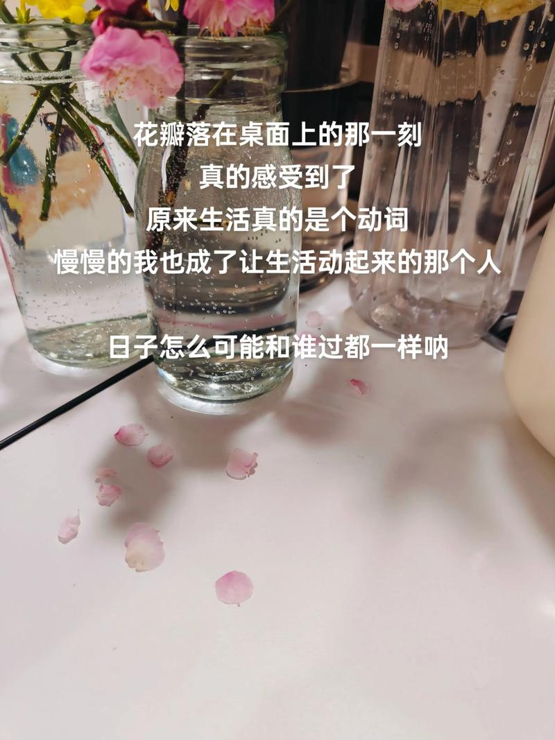 当你开始记录生活,生活本身会变成被表演的素材吗?(记录生活瞬间是什么意思)