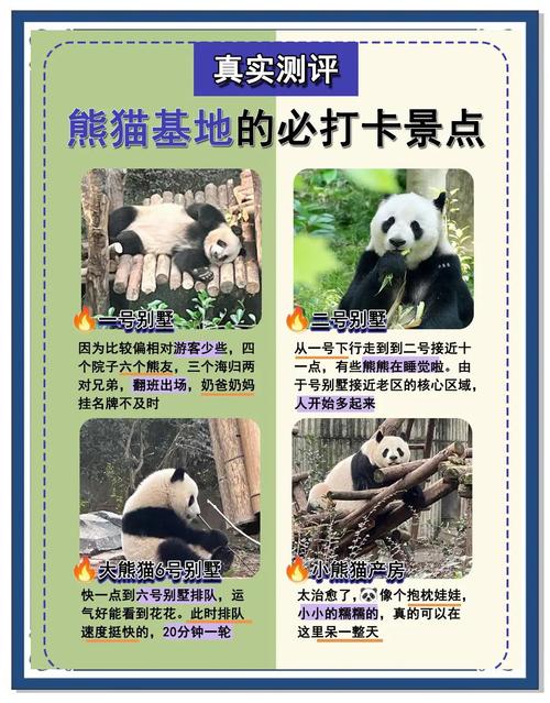 一分钟了解“熊猫究竟有没有挂”(2025详细用挂教程)