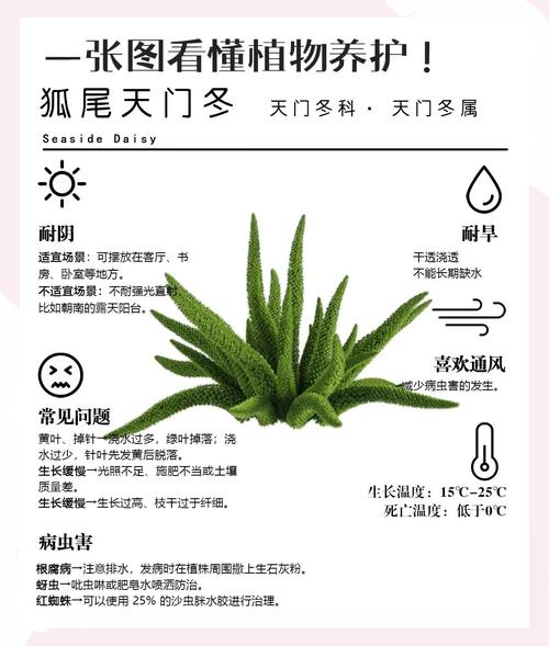 让绿植安全过冬的秘诀（怎么让绿植安全过冬）