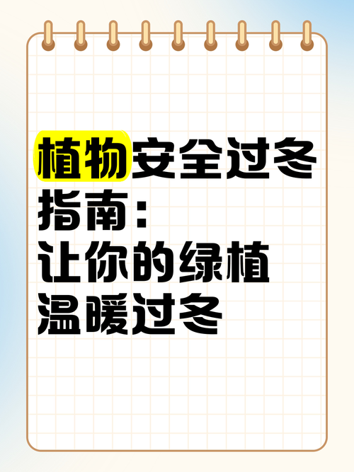让绿植安全过冬的秘诀（怎么让绿植安全过冬）